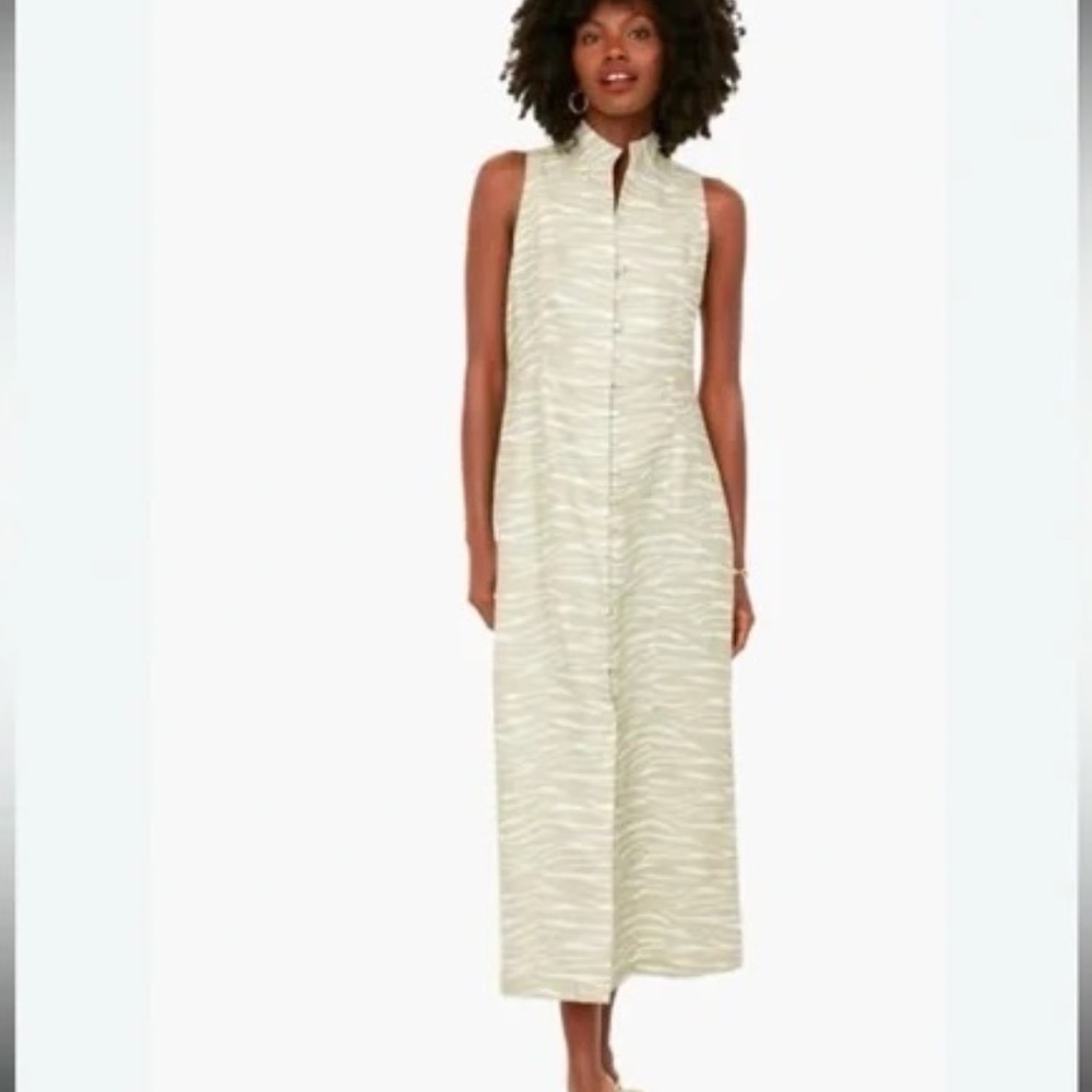 Tuckernuck Platinum Zebra Leighton Midi Dress Size M